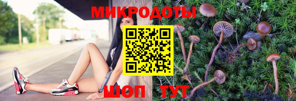 Галлюциногенные грибы мухоморы Белореченск